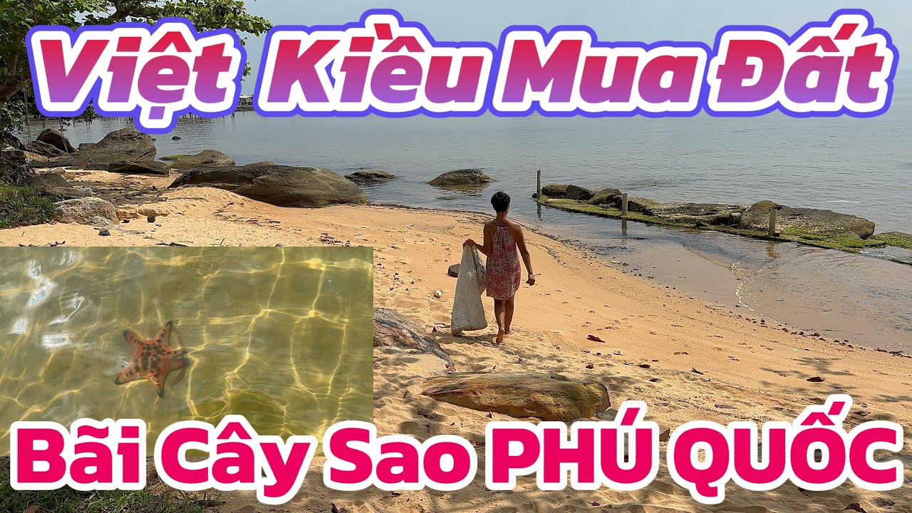 📍 BẤT NGỜ KHU ĐẤT CỦA CHỊ VIỆT KIỀU Ở BÃI CÂY SAO – PHÚ QUỐC: GIẤY TỜ MUA BÁN CÓ HỢP LỆ?