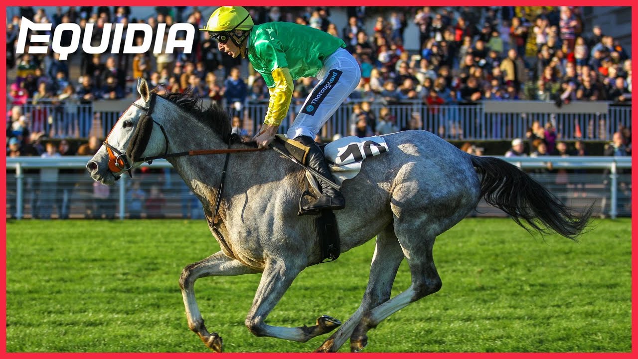 Prix Maurice Gillois - Grand Steeple-Chase des 4 Ans | Auteuil | Groupe 1