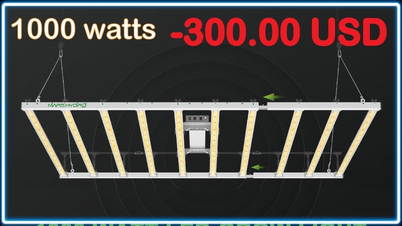 Los MEJORES PANELES LED para CULTIVO en INTERIOR | NIVEL PRINCIPIANTE