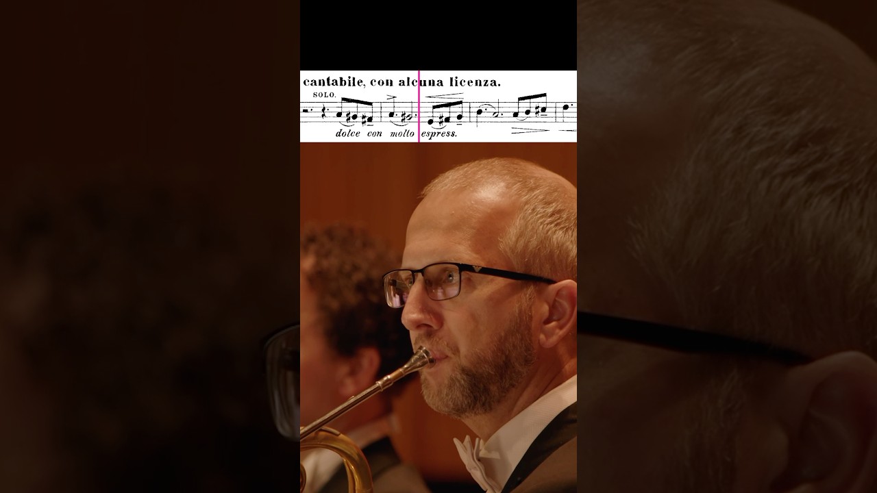 Tchaikovsky: Symphony No. 5 🎶 Horn Solo  #classicalmusic #frenchhorn #orchestra #tchaikovsky