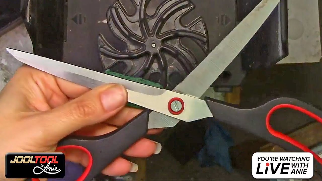 Sharpening Scissors, Flush cutters and a quick polish on a stone using the JOOLTOOL - LIVE with Anie
