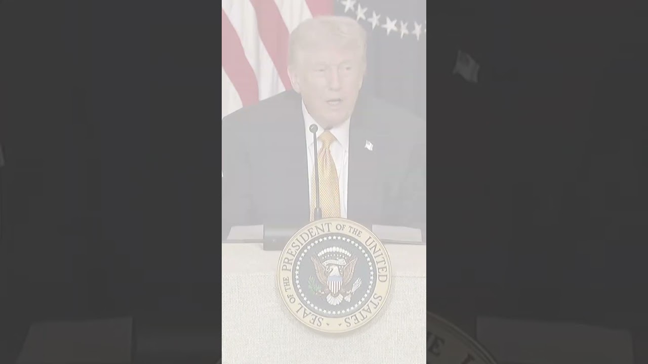 &laquo;Они нас не поддержат&raquo;: горькое предупреждение Трампа давним союзникам | DWS News | AH1C