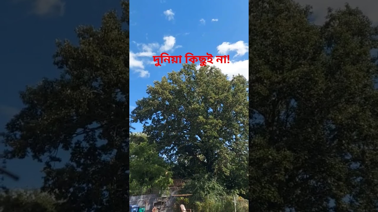 #nature
