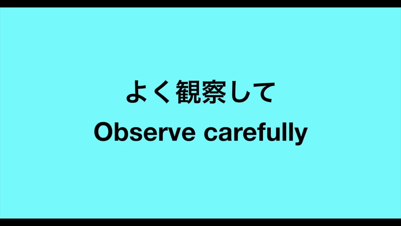 #19 Super useful Japanese phrases 🇯🇵