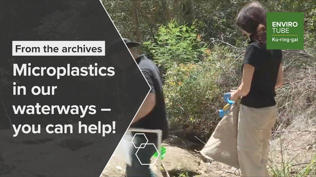 Microplastics in our waterways   you can help