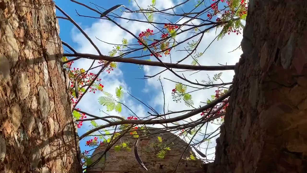 📍 La Iglesia Vieja, Arroyo 🇵🇷