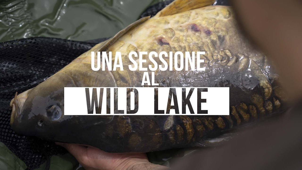 Una sessione al Wild Lake