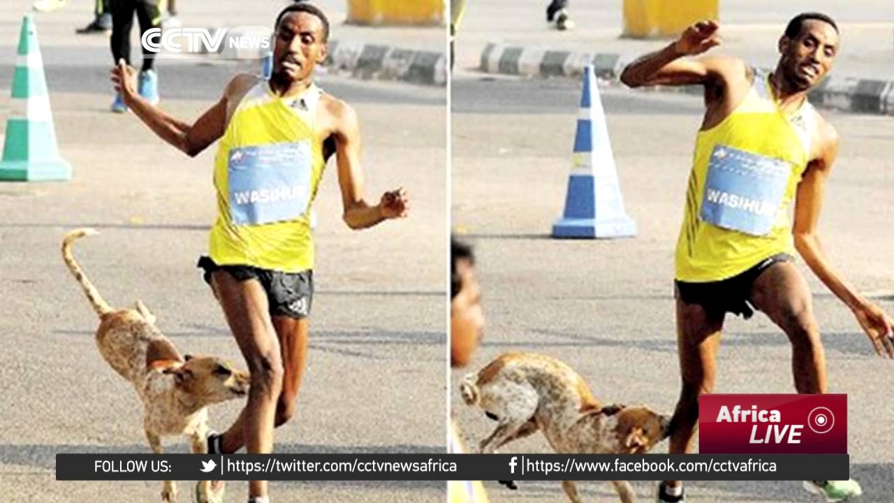 Ethiopian athlete Mulle Wasihun attacked by stray dog in India