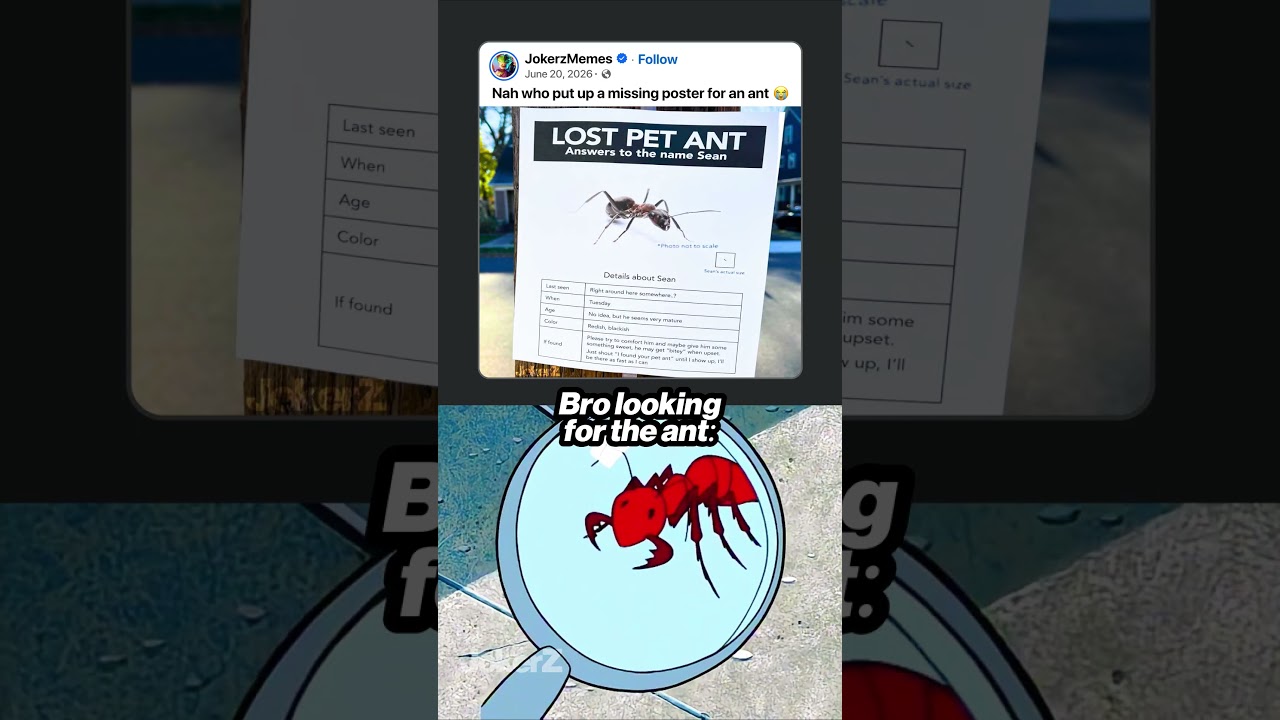 Who put up a missing poster for an ant 😭
