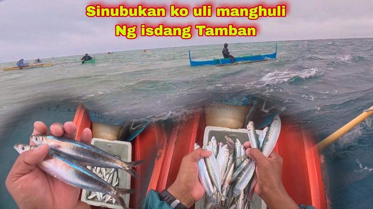 Sinubukan Kong  manghuli Ng isdang Tamban sa araw na ito