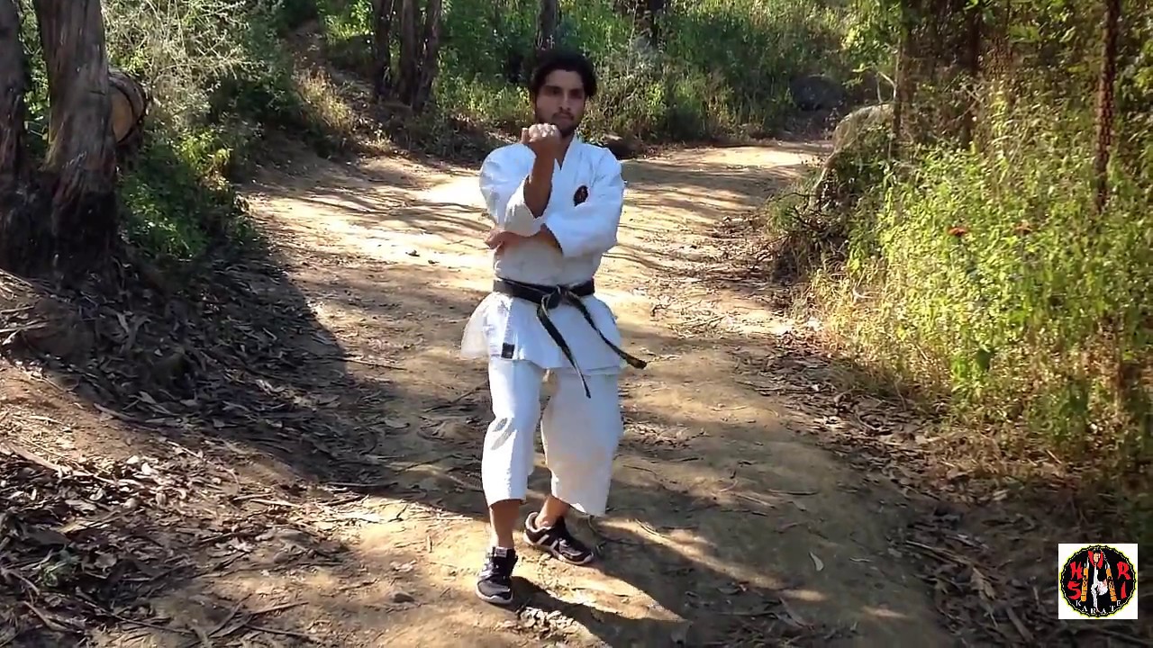 Kata Sochin | Shorin Ryu
