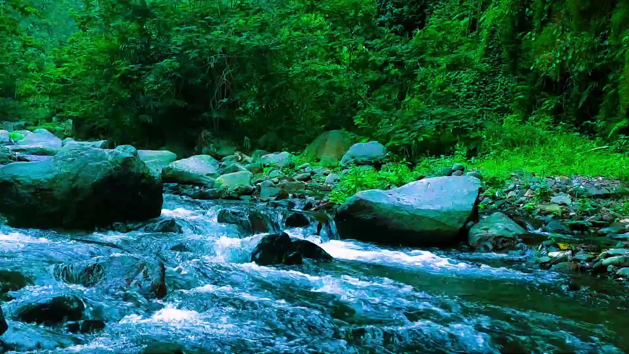 Relaxing River Sounds  10 Hours Water White Noise for Better Sleep