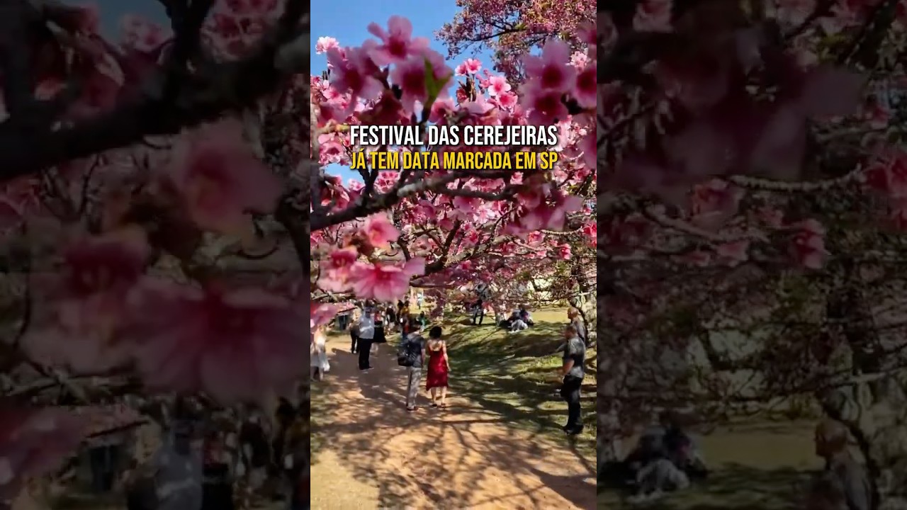 EST&Aacute; CHEGANDO O FESTIVAL DAS FLORES MAIS FAMOSAS DO JAP&Atilde;O 🌸🇯🇵😍