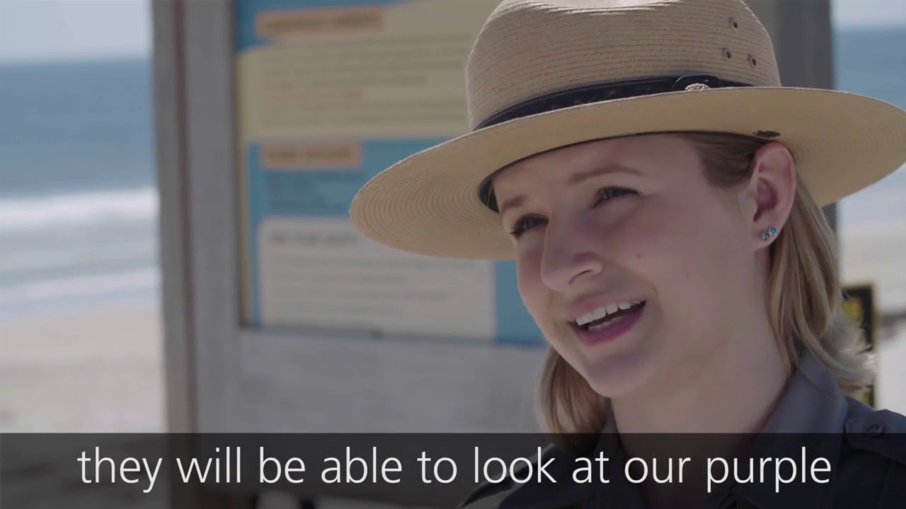 Shark education at Cape Cod National Seashore.