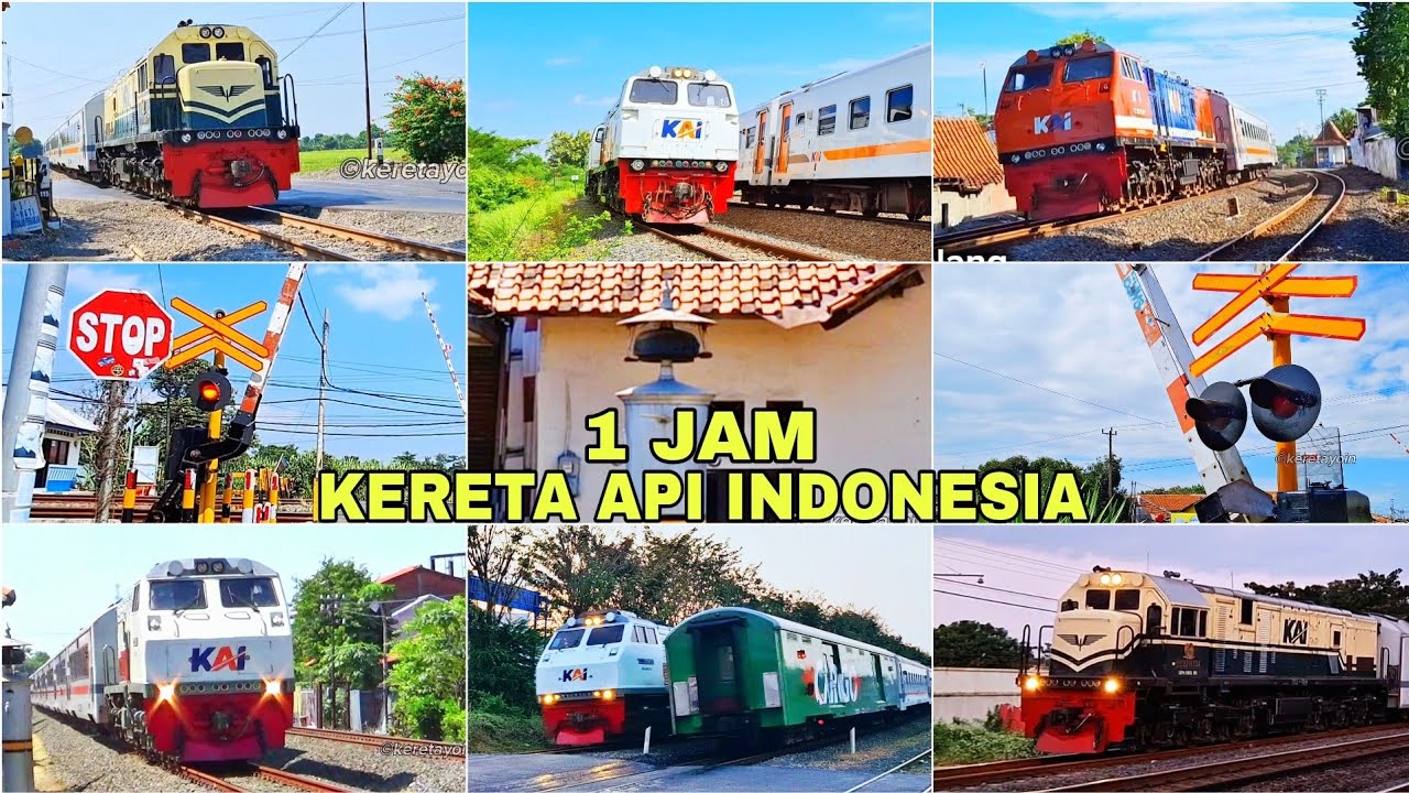 [1 JAM] RANDOM KOMPILASI ‼️ RAMAINYA Nonton Kereta Api di Berbagai Perlintasan | RAILROAD CROSSING