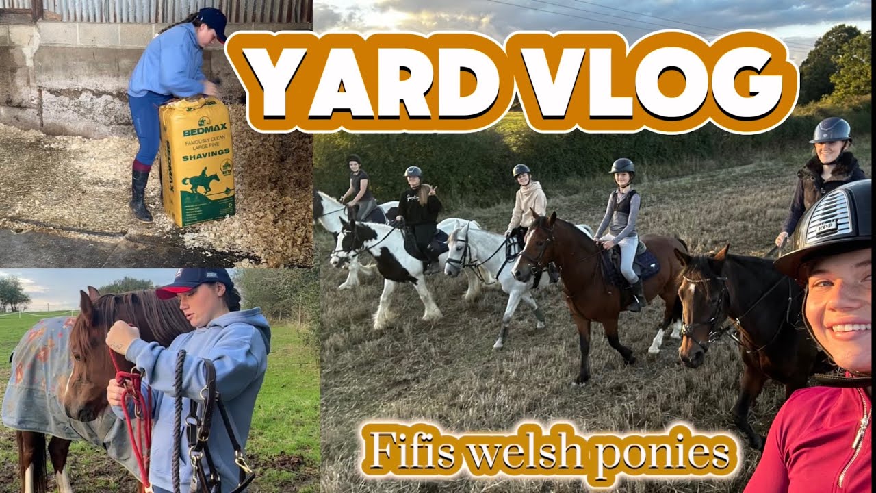 YARD VLOG | Get to know the new livery’s & muck out & chat 🐎