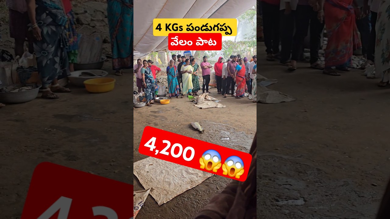 ఎంట్రా ఇధి గోదావరి పండుగప్ప Top rate 🤯 