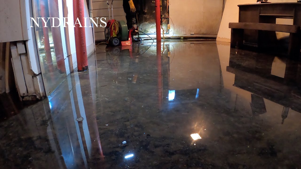 Clogged Drain #224