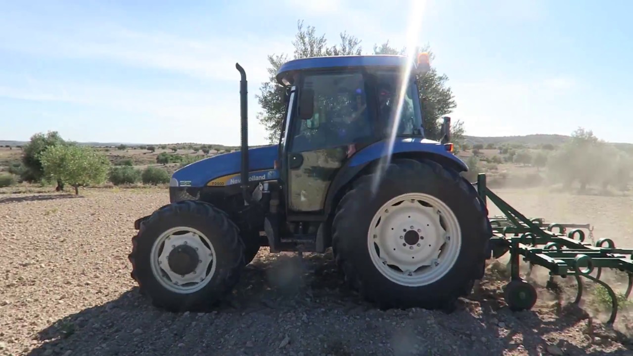 C&oacute;mo Arar la Tierra. Una ma&ntilde;ana Arando el Campo