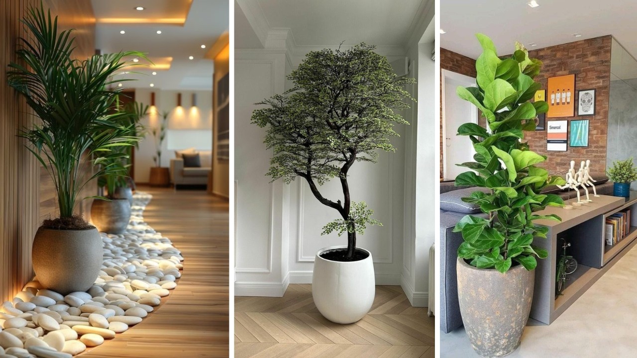 +277 Increíbles iDEAS de PLANTAS PARA INTERIORES DE SALAS que decorarán de forma natural tu hogar