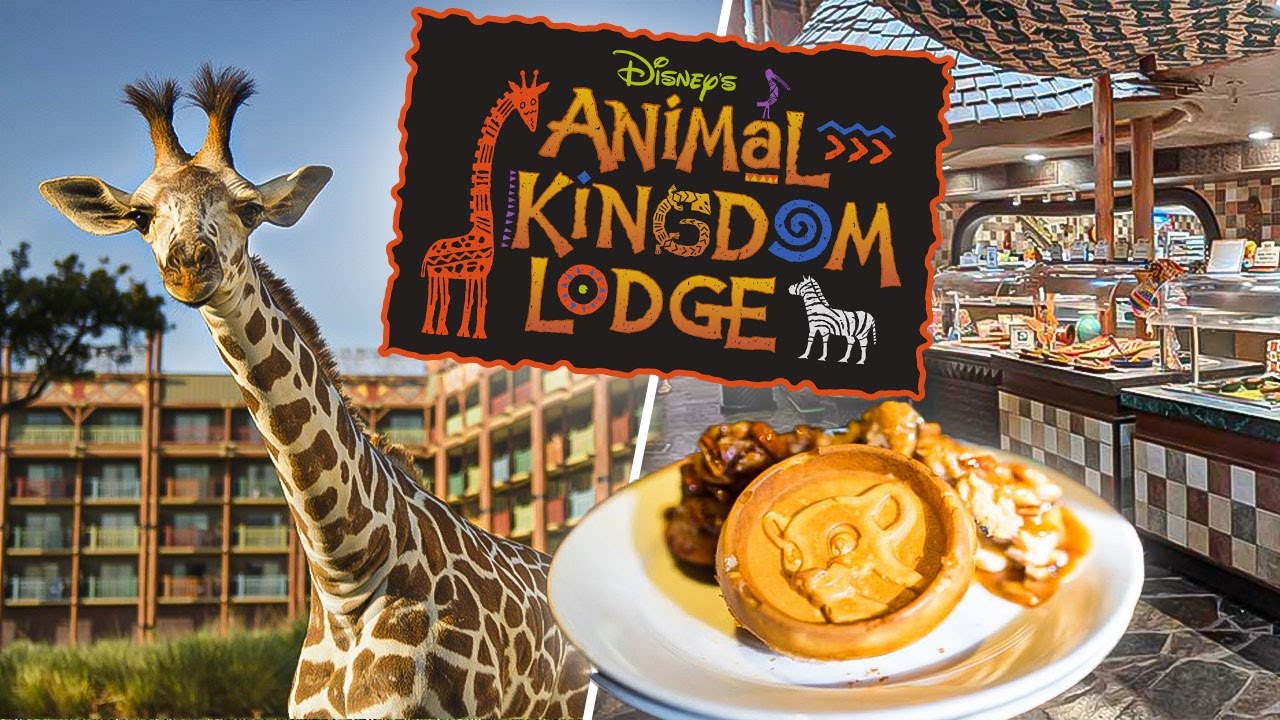 LE BREAKFAST LE PLUS POPULAIRE à WALT DISNEY WORLD ( Boma, Animal Kindom Lodge )