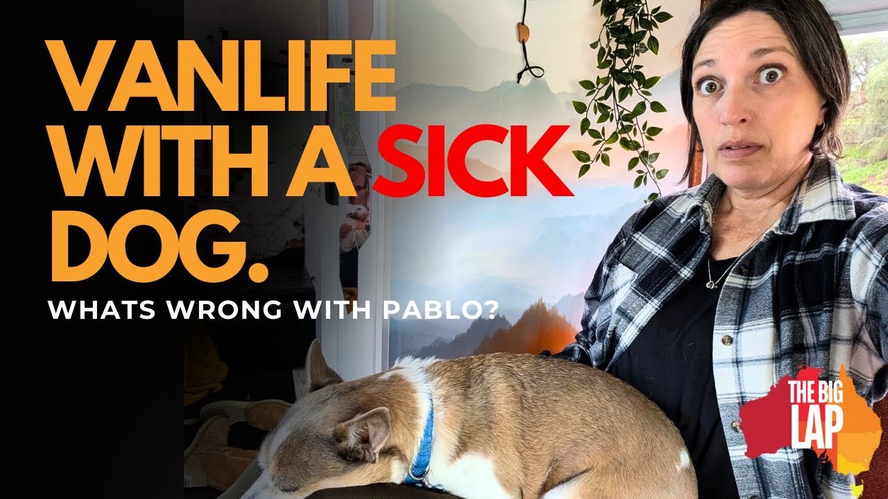WHEN YOUR DOG GETS SICK ON THE ROAD - Not every vanlife day is a good one.  (GAWLER)
