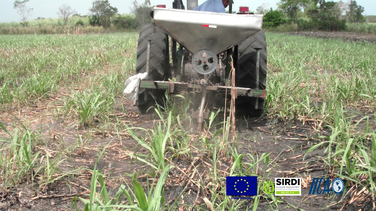 Sirdi - Sugar Cane Ratoon Maintenance Documentary