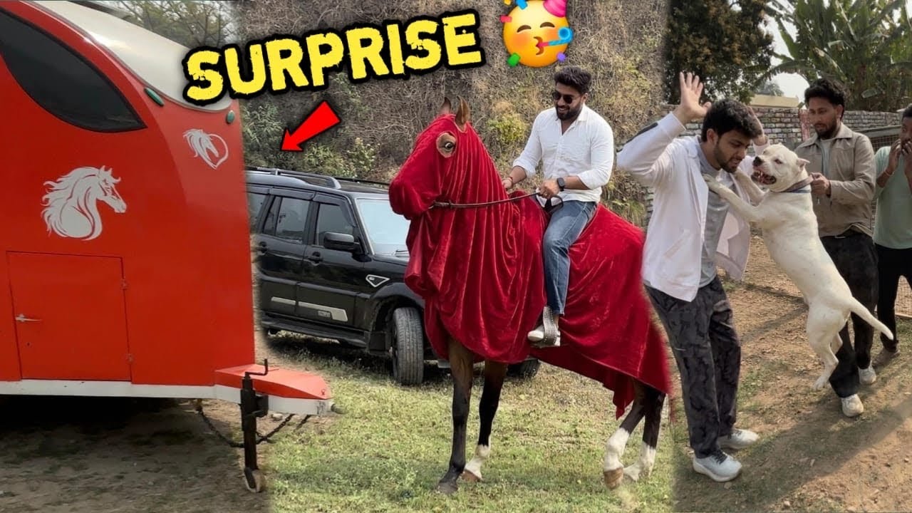 Is All Rounder Ghode Ko Le Kar Mai पहाड़ी Par Aagya 🤩Socha Nahi Tha Dogo Aisa हमला Karegi 😱