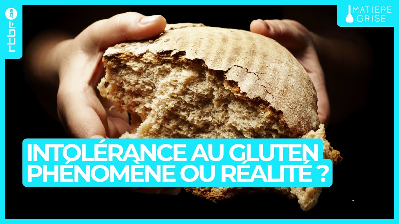 Intolérance au gluten, un phénomène exagéré ? - Matière Grise