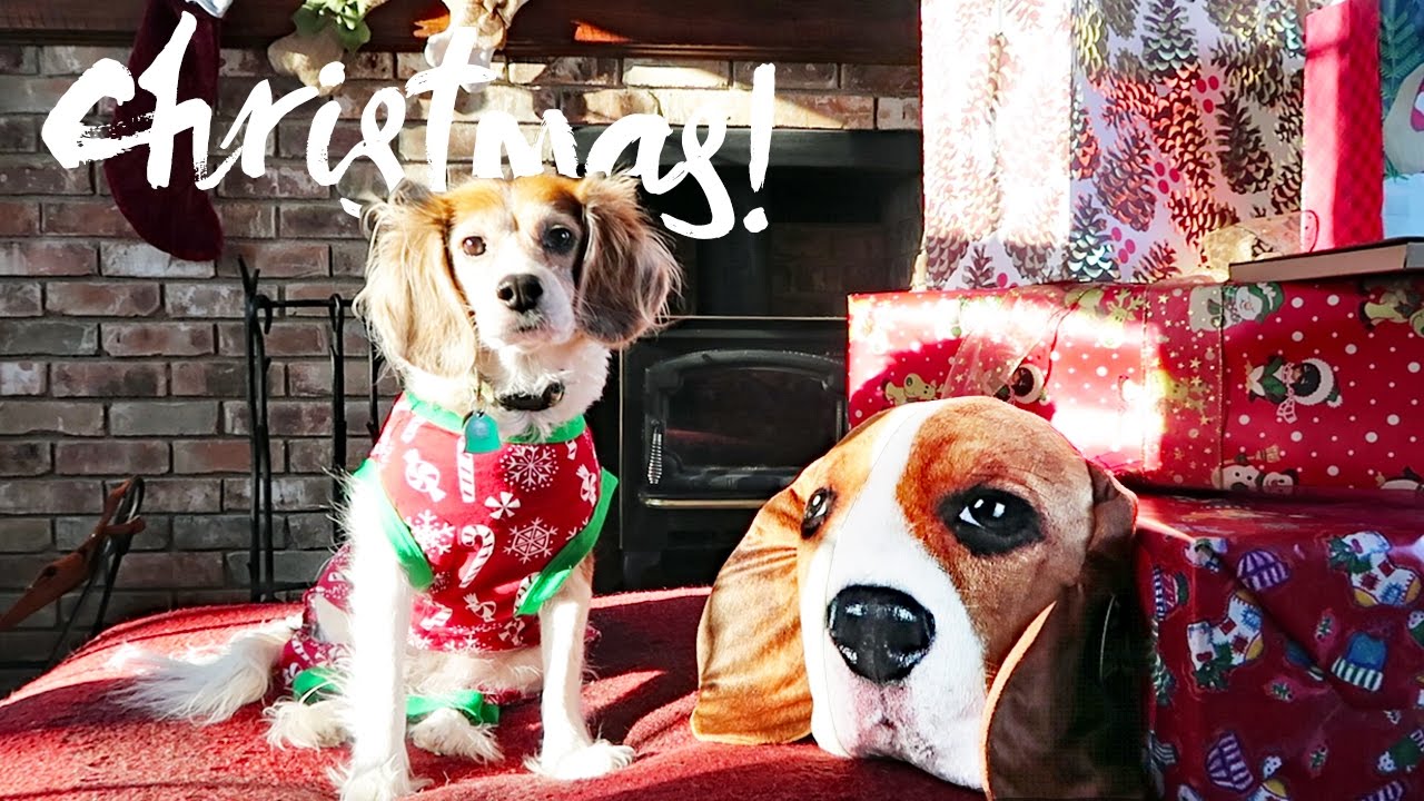 First Christmas at the Cabin