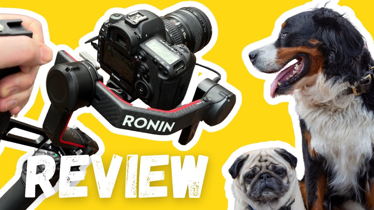 DJI Ronin RS3 Pro with Canon 5D Mkiv - First thoughts and Dog Videography