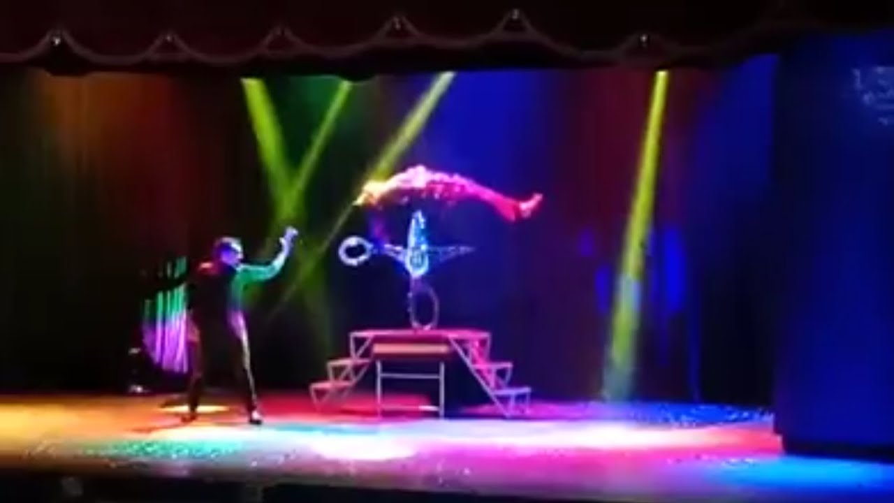 Scissor Penetration illusion Magic By Magician Mohammed Shanu #magic #illusion #youtubevideos