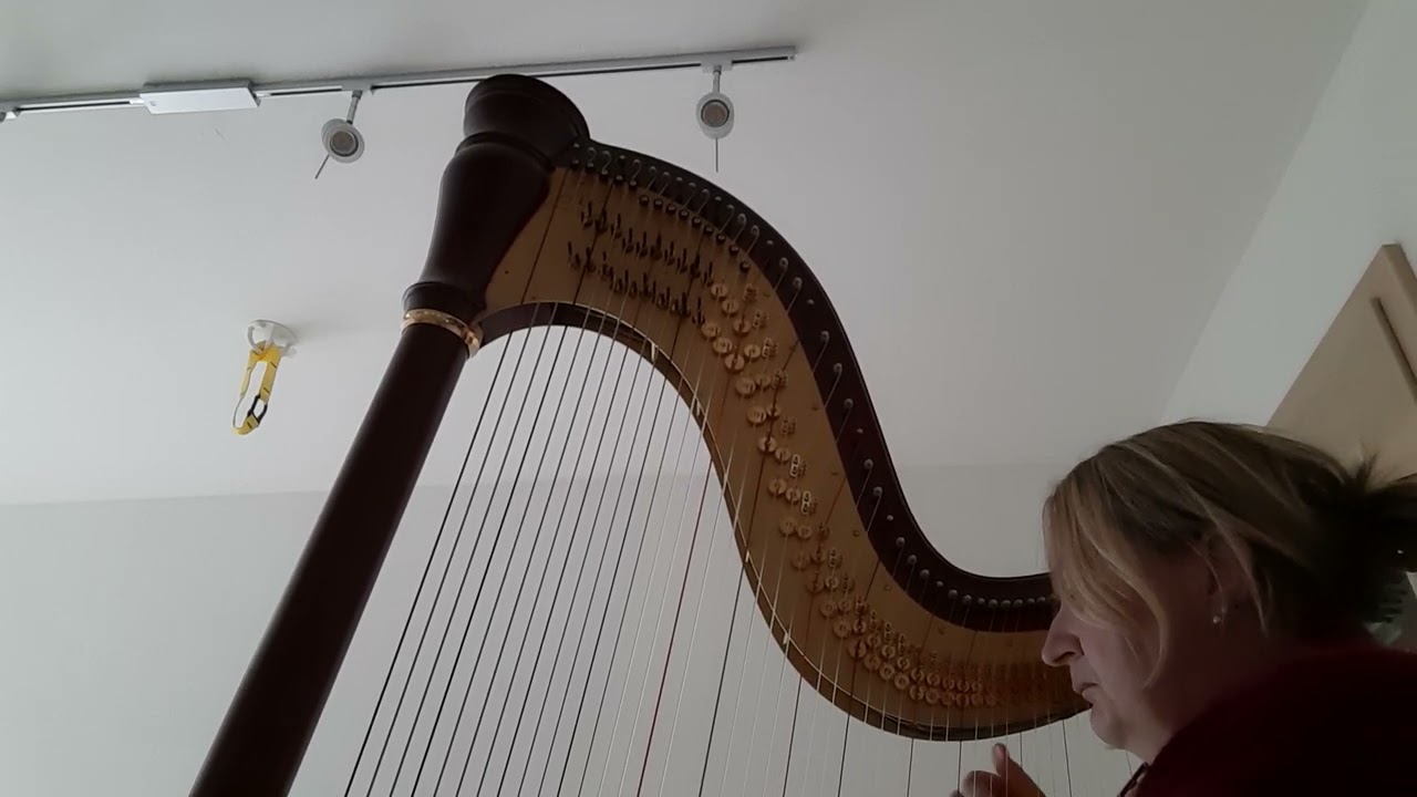 Carlotta Harfe - Noten von @lenarummelharfenmusik 