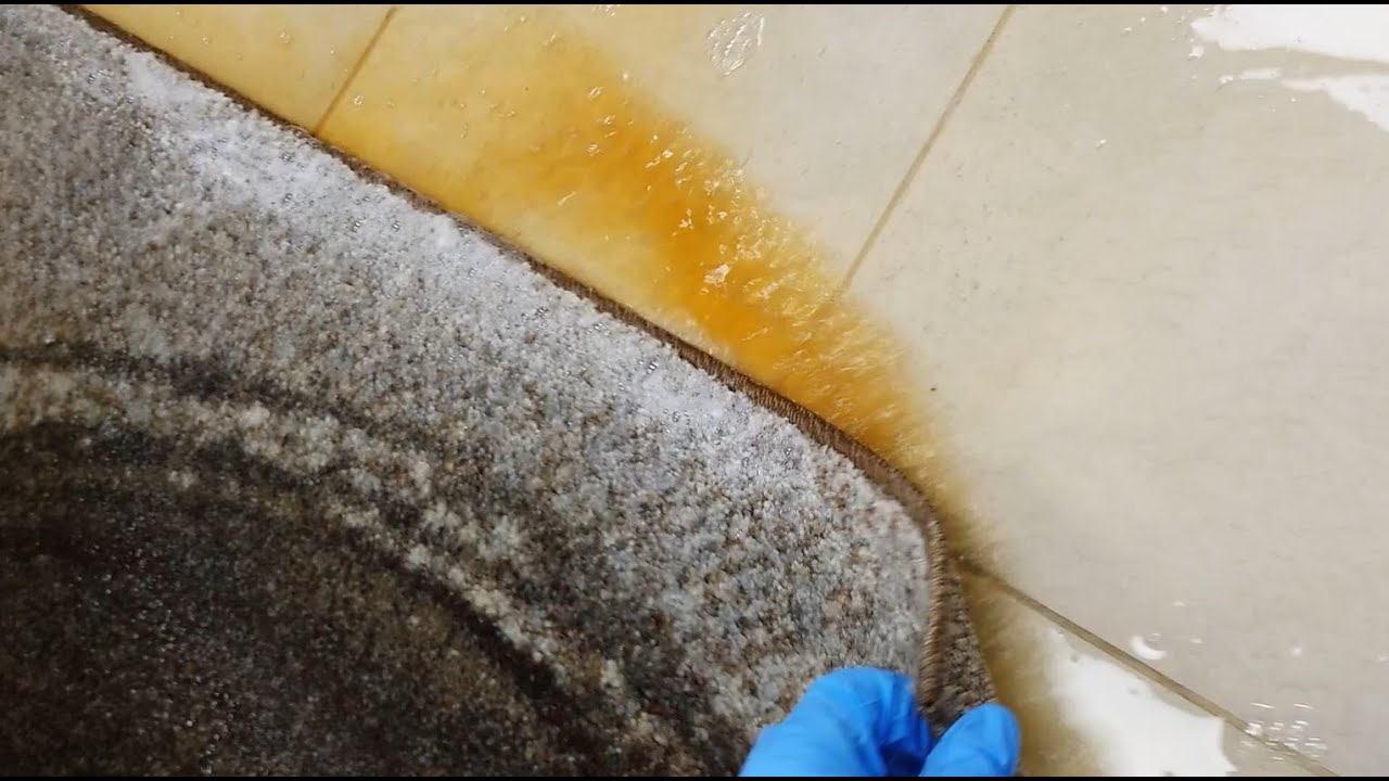 Pranie Dywanu PRZESIĄKNIĘTEGO PSIĄ URYNĄ 🐶 Żółta Woda Wypływała | Relaksujące Pranie Dywanu 🐑