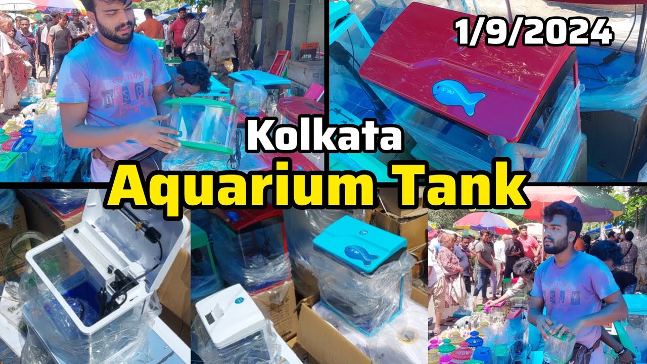 Recent Aquarium Tank Price Update | Kolkata Aquarium Market | Gallif Street Fish Market | 1/9/2024