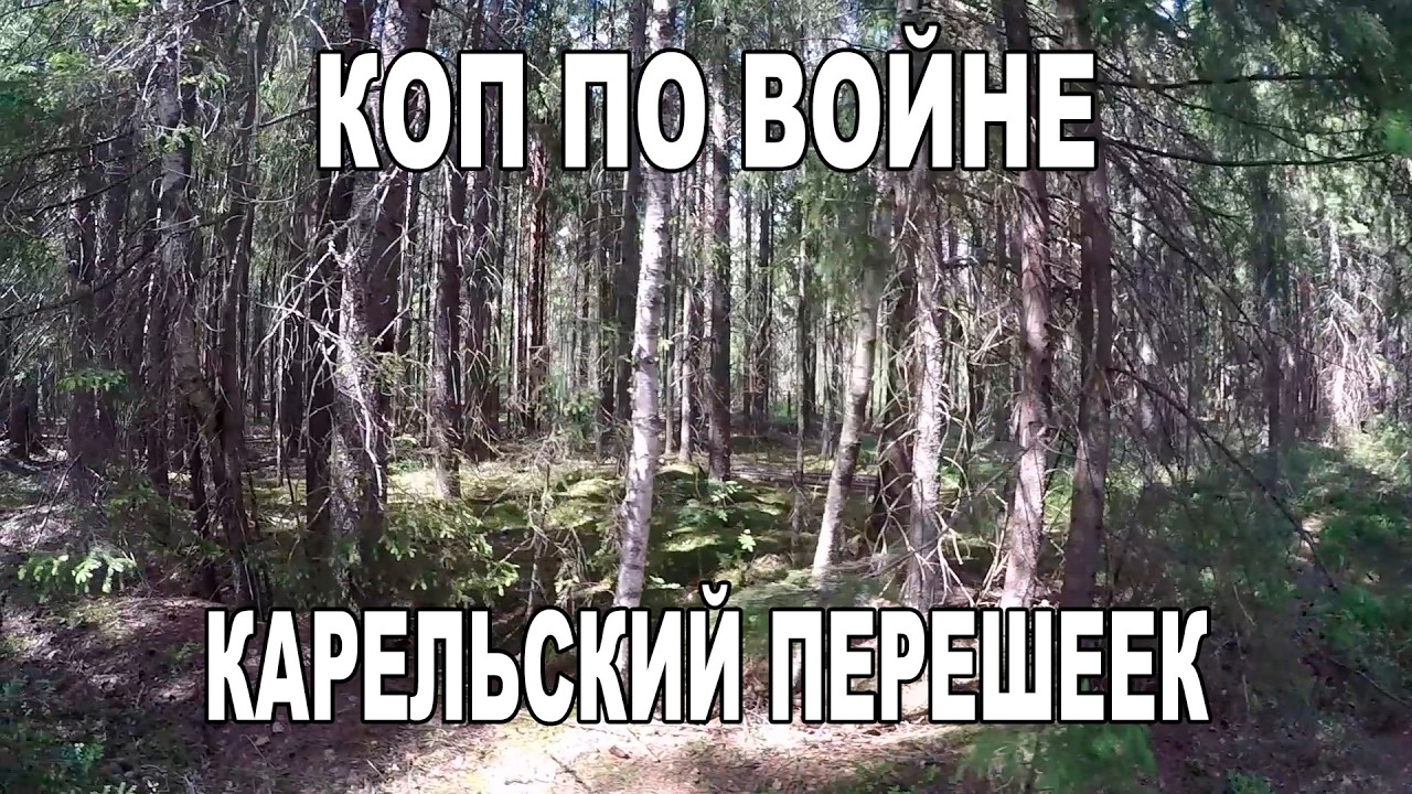 Коп по войне. За находками по Карельскому перешейку с Егором и Глебом. @litvinoff98