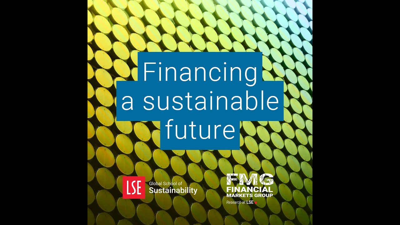Credit Substitution in Sustainable Finance: An Achilles Heel?