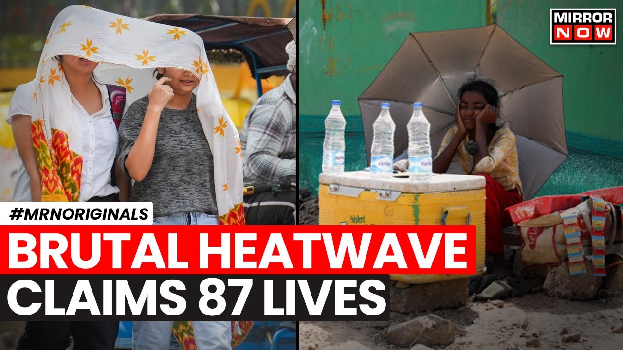 No Respite From Heatwave | North India Boils, Very High Temperatures Claim 87 Lives | Latest News