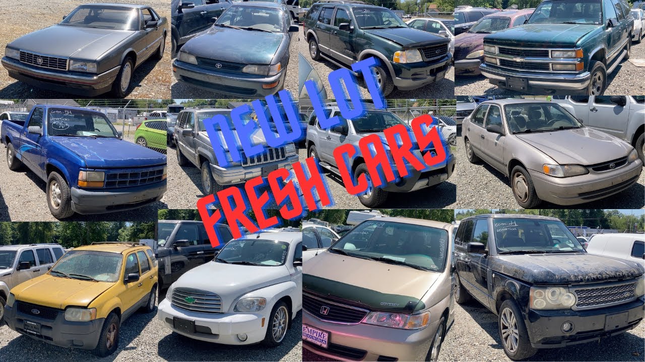 Walking The Auction: New yard with donated cars!  What can we find? First video in a long time!!!