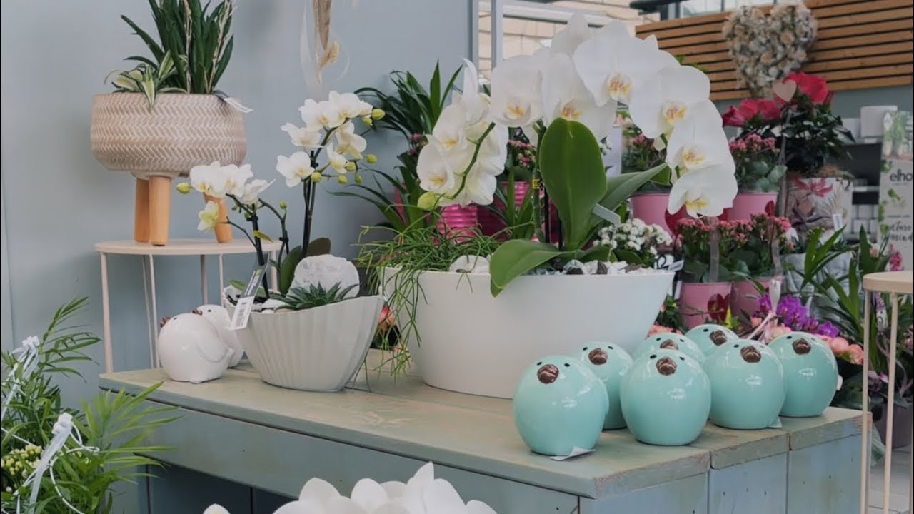НЕМЕЦКИЙ SECOND HAND / Villeroy & Boch ЗА КОПЕЙКИ / ЦВЕТНИК НА БАЛКОНЕ
