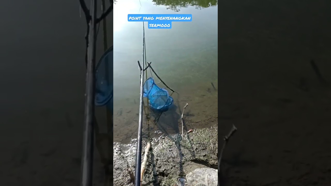 mancing ikan nila di waduk sermo. alhamdulillah point. #mancing #viral #shorts #short #babonnila