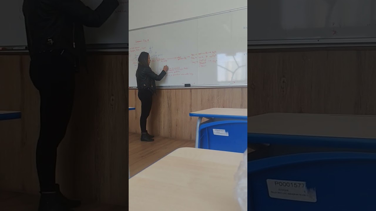 5 de marzo de 2026