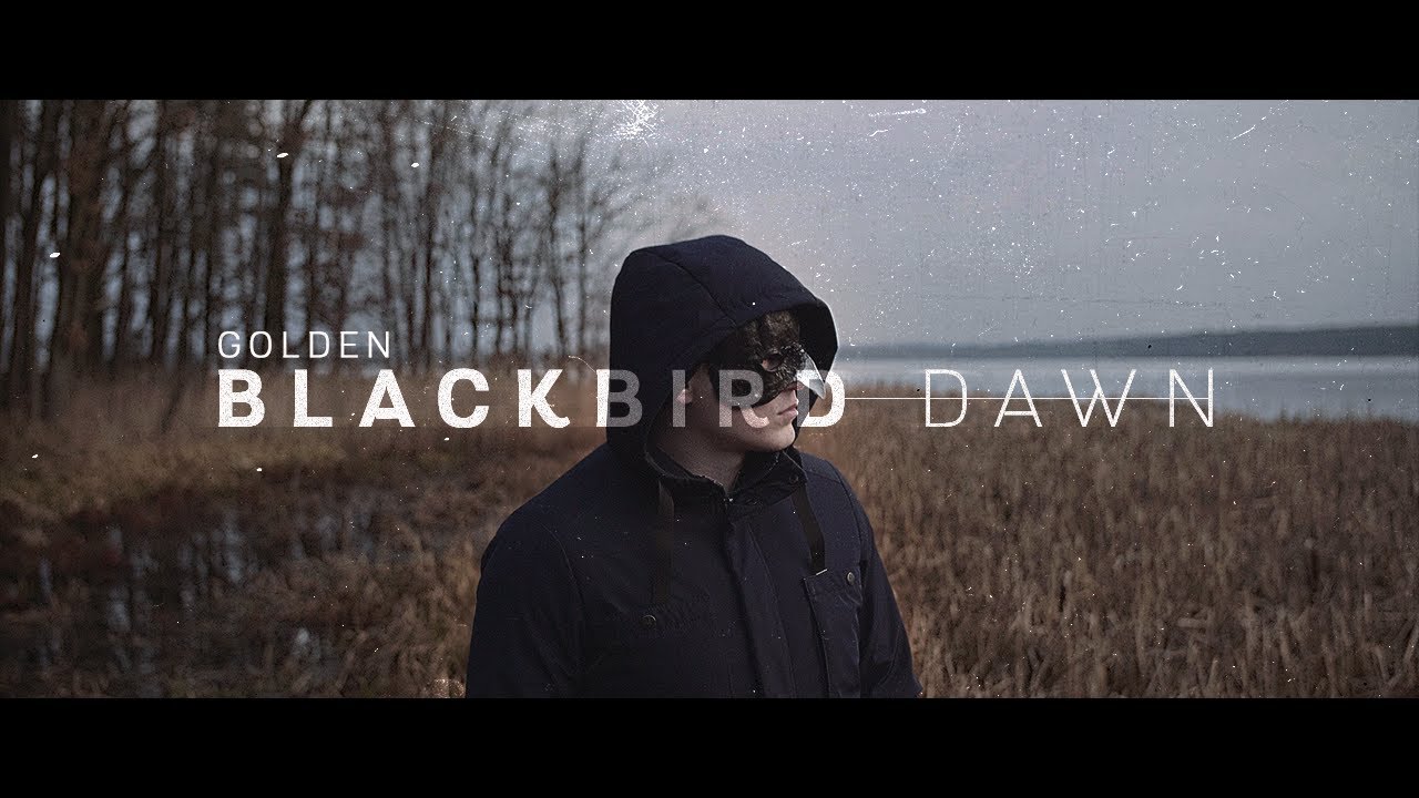 Golden - Blackbird Dawn (Official Video)