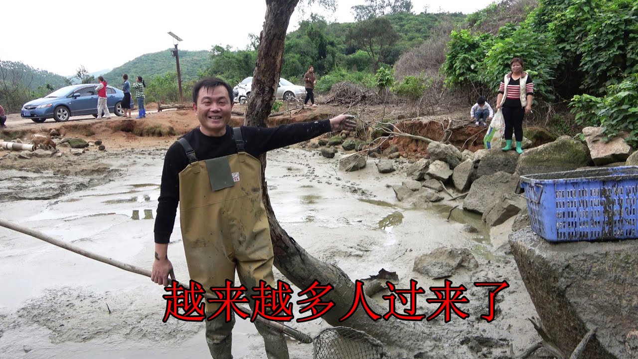 老林赶野 听说老林的塘鲺鱼免费送，附近的村民都过来抓，老林乐了