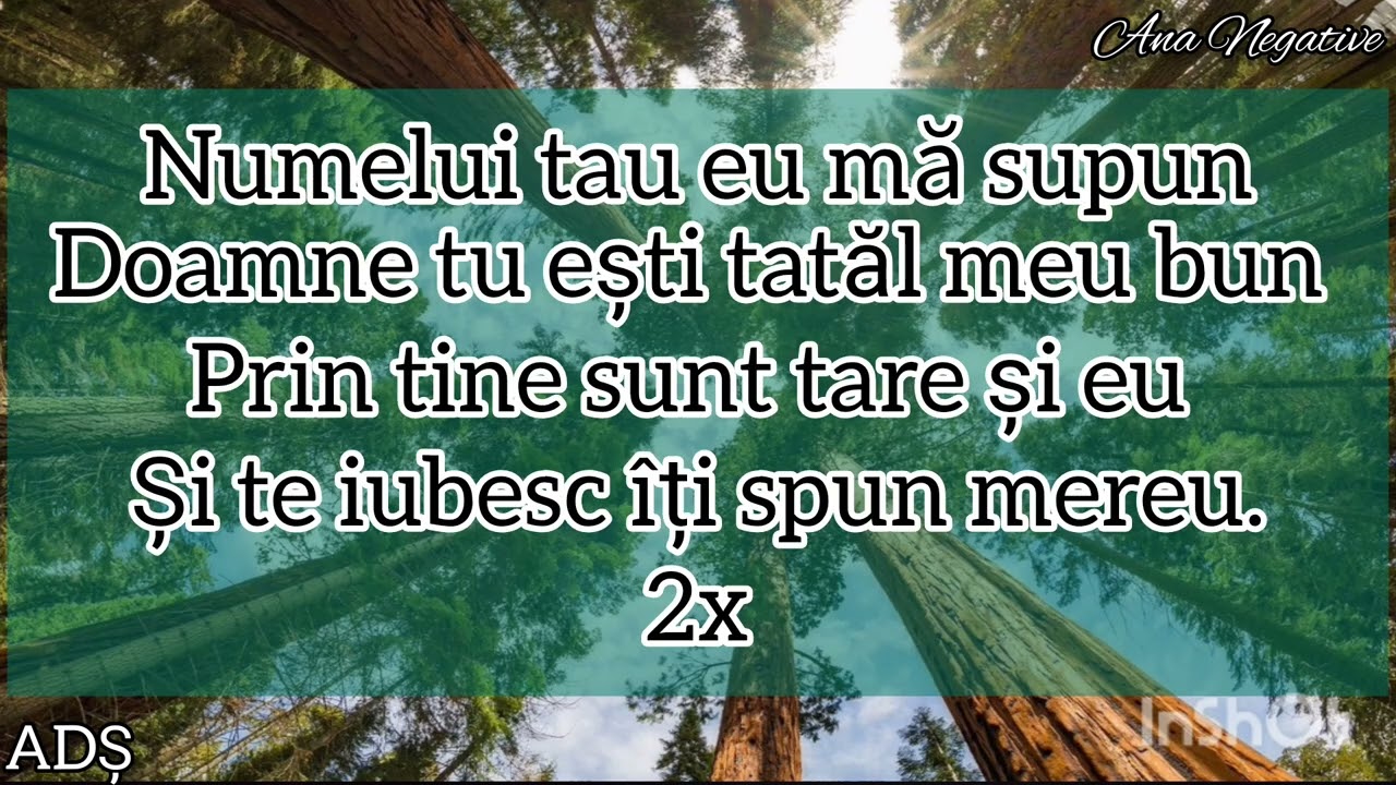 NEGATIV TON FATA| Numelui tau eu mă supun
