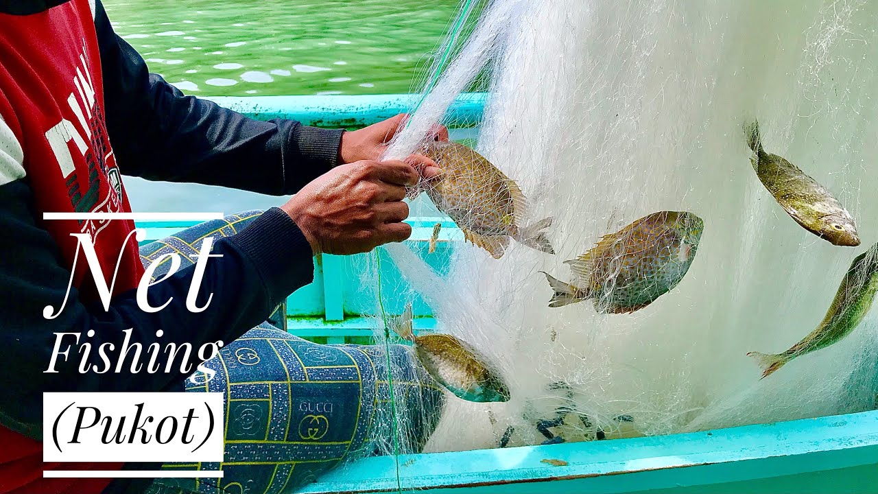 NET FISHING (PUKOT) *CATCH PART 2 | BOHOL PHILIPPINES