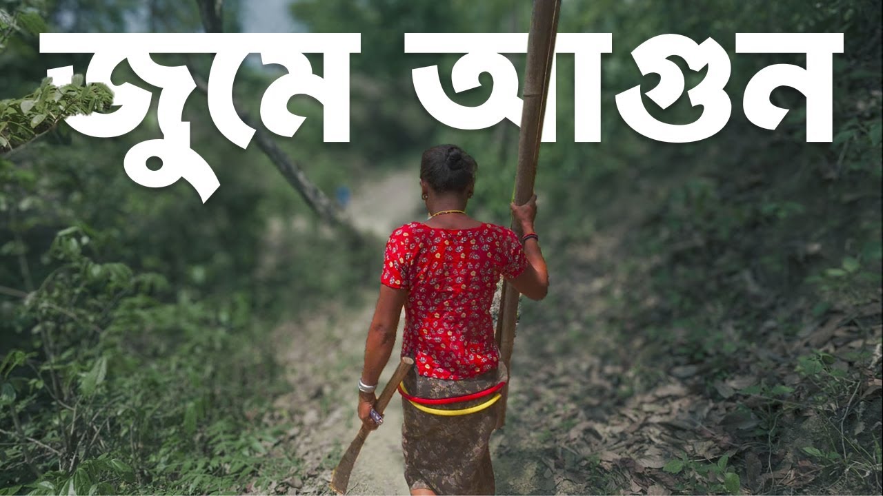 জুমের আগুন - ৩০ বছর পর তিনটা শুকর: পাহাড়ের এক অদ্ভুত বিয়ে ।।