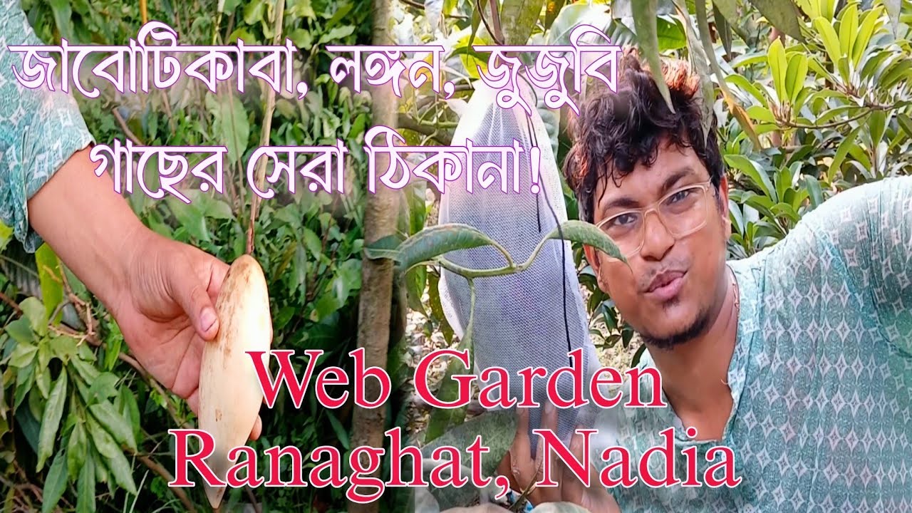 Web Garden Nursery visit! ওয়েব গার্ডেন নার্সারীতে ফলগাছের স্বর্গরাজ্য!  #webgarden #plantnursery