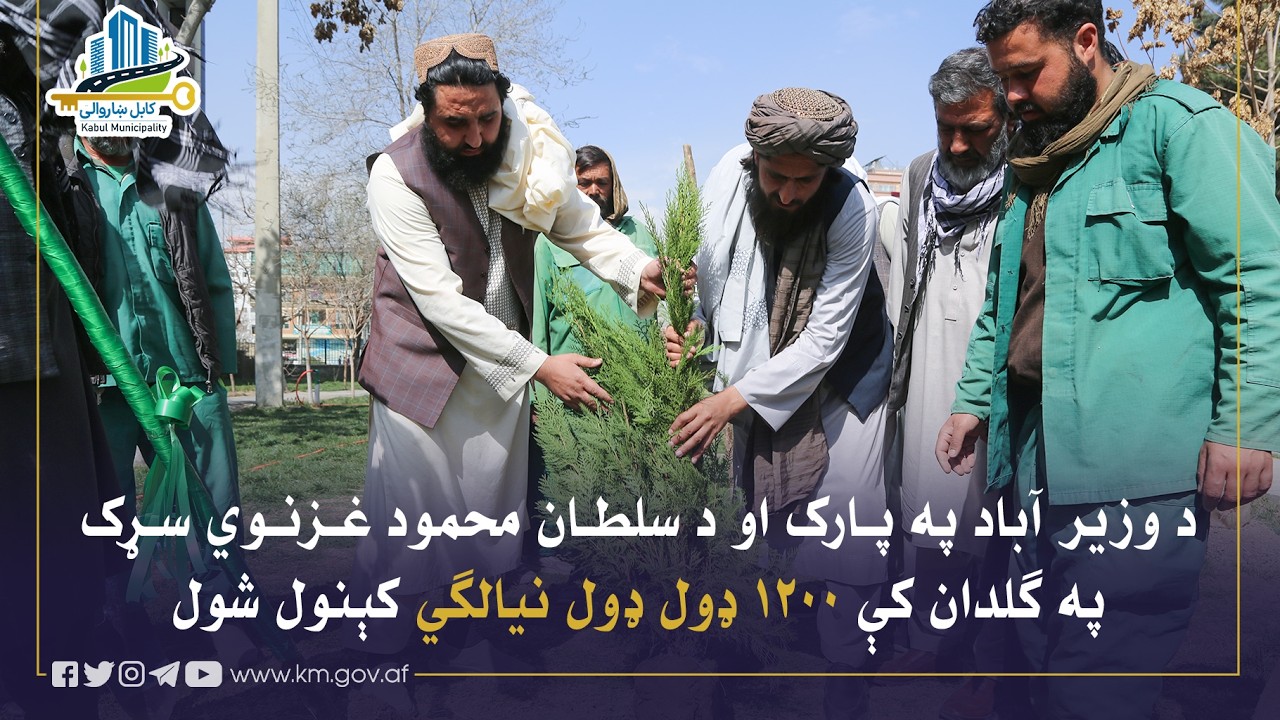 ۱۲۰۰ اصله نهال مختلف‌النوع در گلدان‌های سرک سلطان محمود غزنوی و پارک وزیرآباد غرس گردید