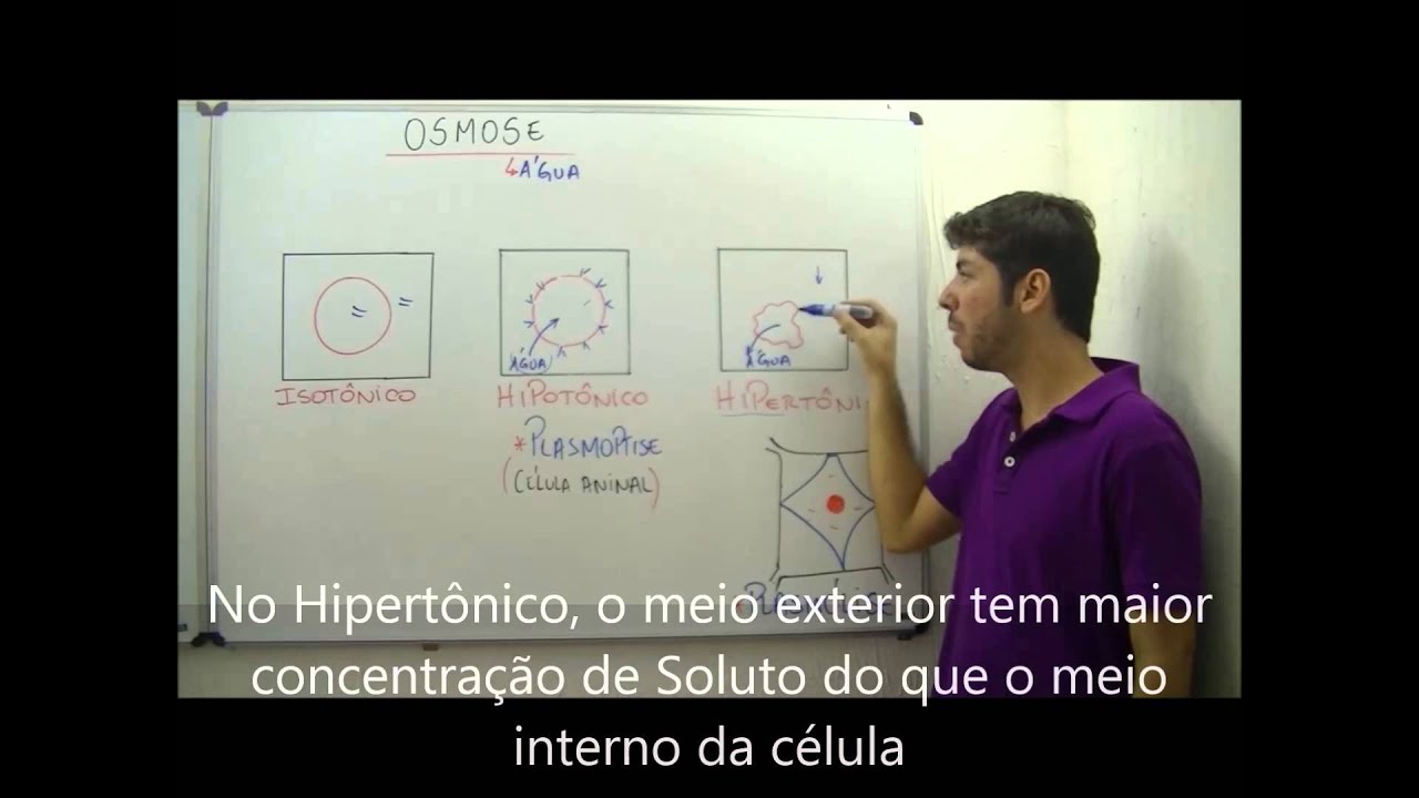 AULA BIOLOGIA - BIOLOGIA CELULAR PARTE 2 - MAR 13 - PROF. FELIPE JARDIM